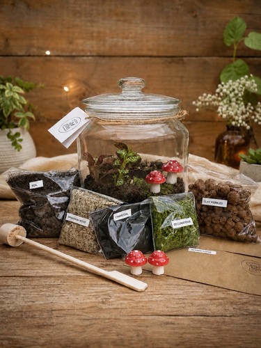 Diy terrarium full kit - terrarium,