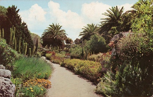 937 tresco gardens - tresco, gardens,
