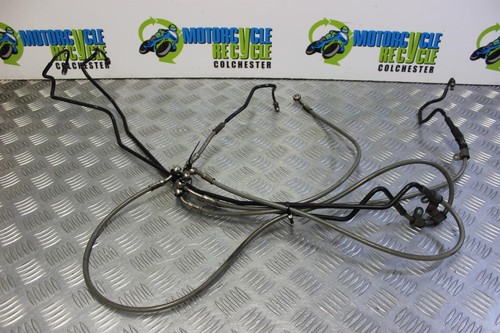 Triumph tiger 800 xrx brake - xrx,