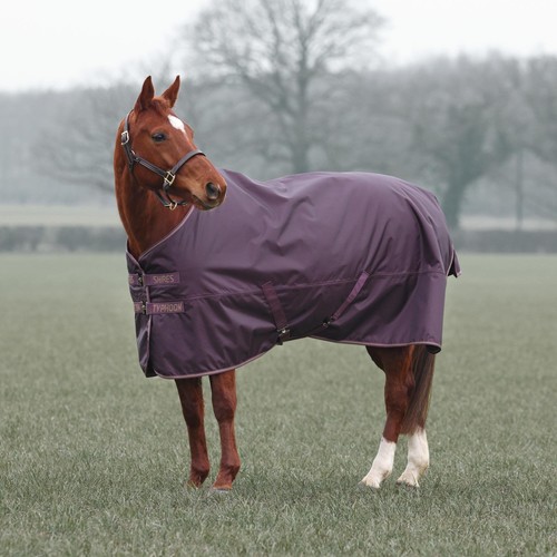 Shires typhoon 100 turnout - turnout, rug