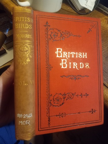 British birds history - birds, f