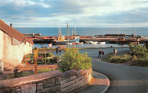 The harbour fishing - the,