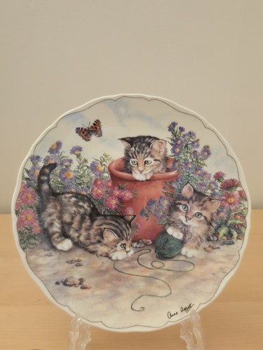 Royal albert cats - albert, play