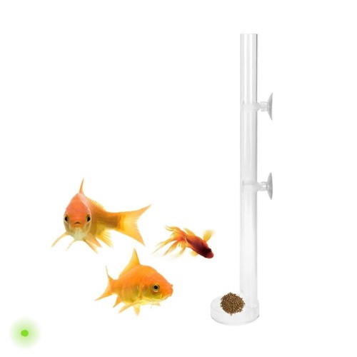 Feeding tube fish acrylic - fish,