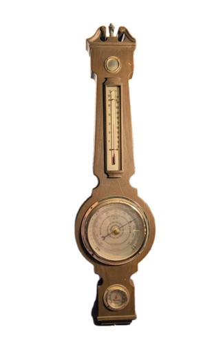 197springfield banjo shaped - 197springfield,
