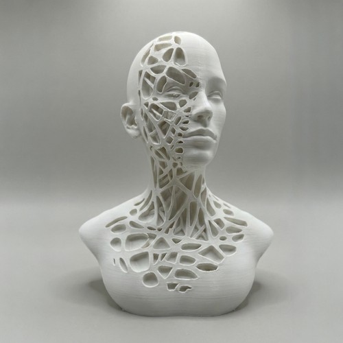 Parametric voronoi female bust - voronoi,