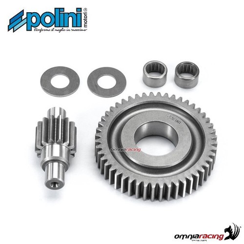 Polini secondary gear 48 - polini, z=14-48