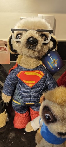 Meer kat sergei superman - meer-kat,