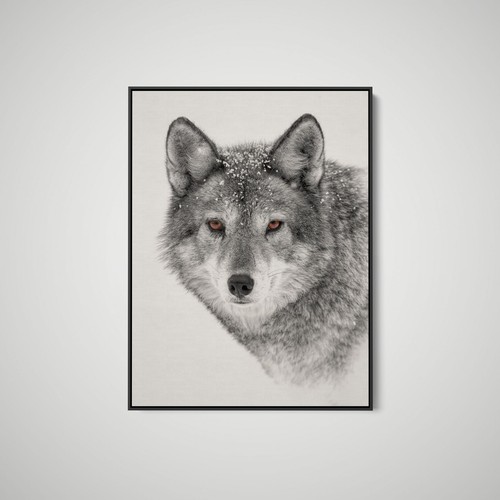 Jim cumming coyote closeup - coyote,