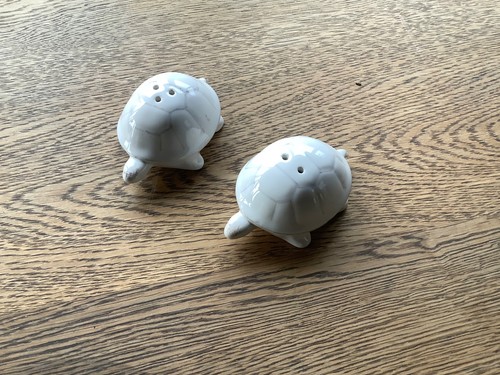 Tortoise salt and pepper pots