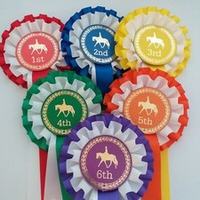 Horse show rosettes 1st - show, 1st-6th