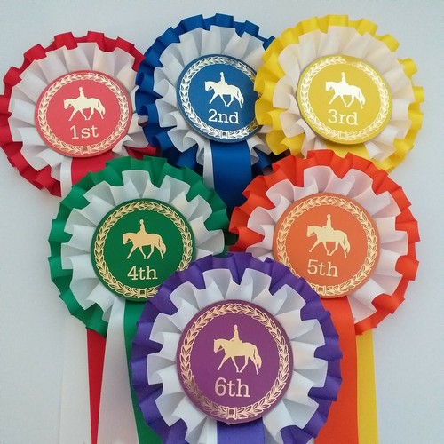 Horse show rosettes 1st - horse,