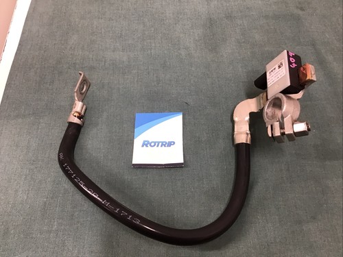 Battery lead cable - battery, f21
