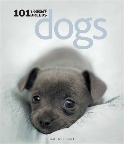 Dogs 101 adorable - dogs:,
