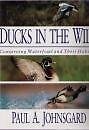 Ducks the wild - ducks, conserving