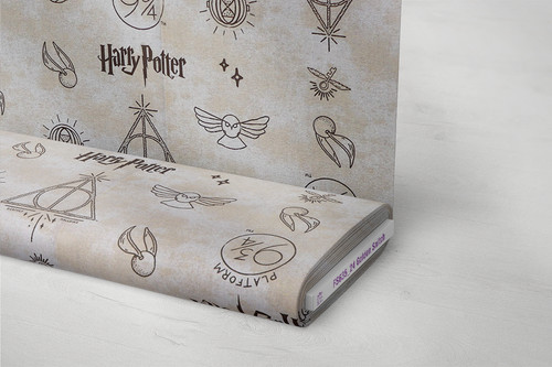 Harry potter golden - harry, snitch
