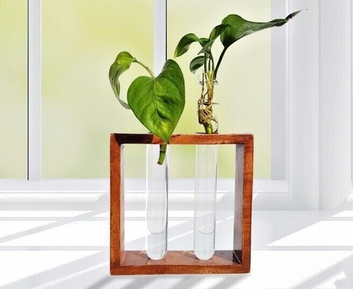 Glass planter plant terrarium - planter,