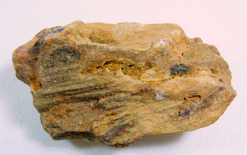 Petrified wood with some - petrified,