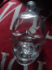 Clear Glass Skull Shaped Bottle 