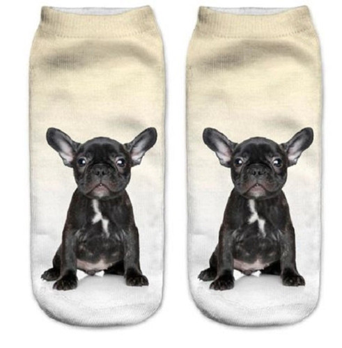 French bulldog dog cute - french,