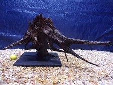 XX-Large Driftwood Mounted on