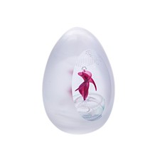 Caithness Glass Paperweight