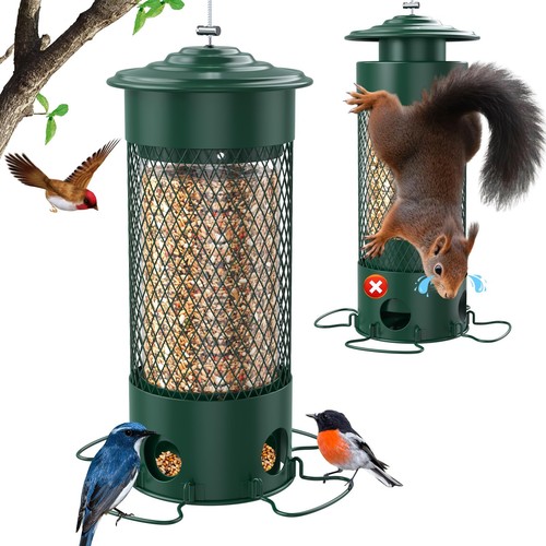 Metal squirrel proof bird - squirrel,