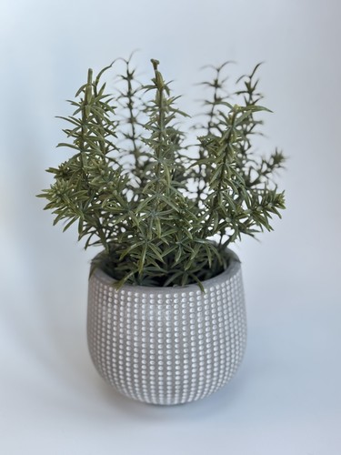 Artificial house plant - house,