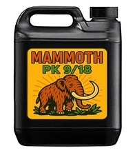 MAMMOTH PK 9/18 - FLOWERING