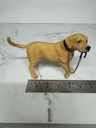 Leonardo collection labrador - leonardo,