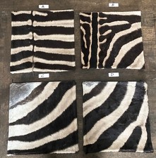 16"x16" Genuine Zebra Skin