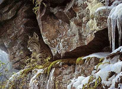 Robert bateman the - the, cliff