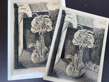 GRAHAM SUTHERLAND EARLY