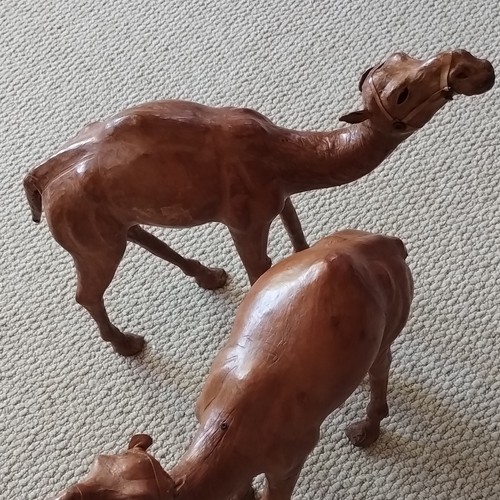 Leather wrapped camel - leather,