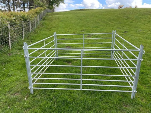 Foot galvanised sheep - galvanised,