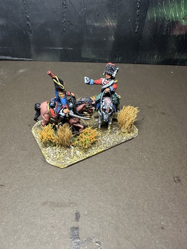 28mm painted and based - painted,