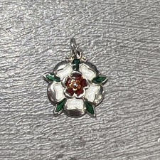 925 Sterling Silver Enamel