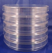 5, 100mm x 15mm Sterile