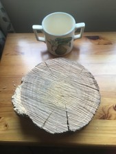 OAK WOOD TREE  COOKIE SLAB WOOD SECTION  CARVING X 1