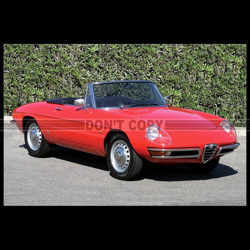 Photo 027722 alfa romeo - photo,