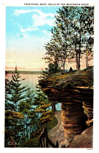 Toad stool rock dells - toad,