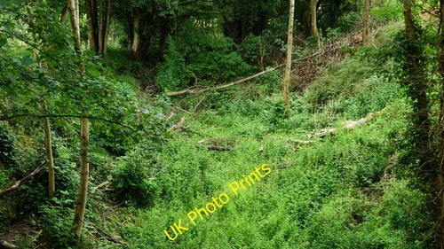 Photo 6x4 former - photo, railway
