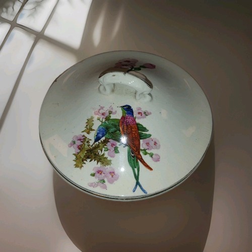 Antique victorian bird - antique,