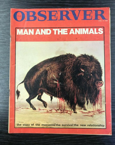 Observer magazine man and - man, the