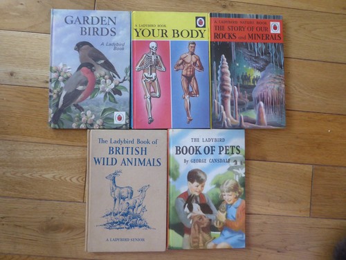 Ladybird book series 536 - series,