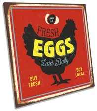 Fresh Eggs Chicken Kitchen Picture CANVAS WALL ART Square Print Red