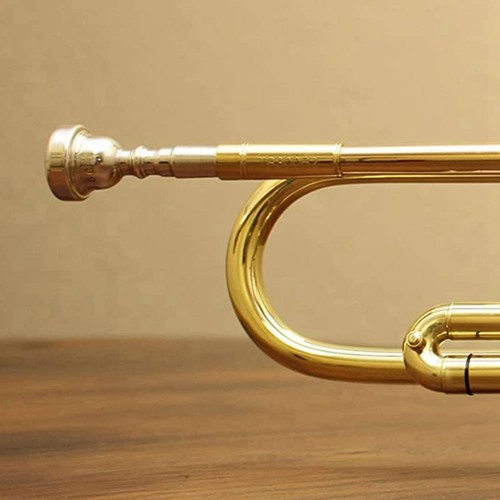 Trumpet mouthpiece - trumpet,