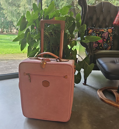 Brics pink leather cabin - brics,