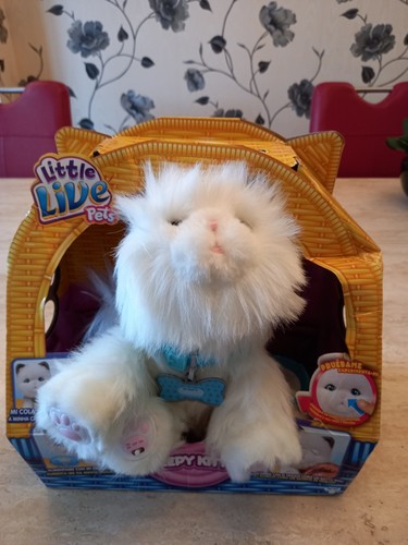 Boxed little live - little, pets