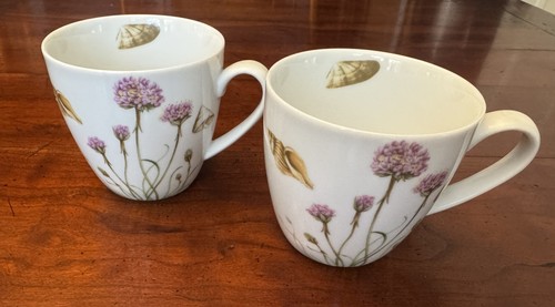 Set spode shoreline - set,